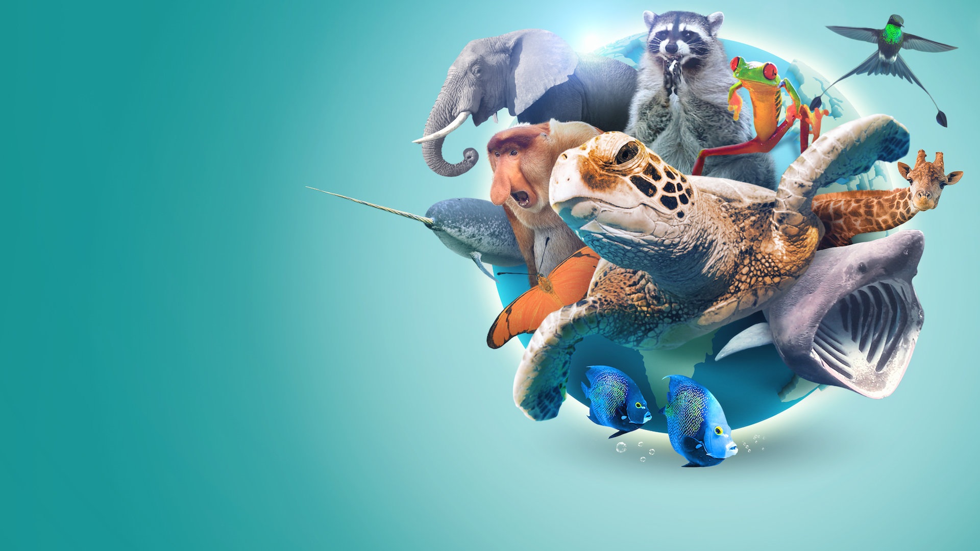 Absurd Planet 1. Sezon 12. Bölüm