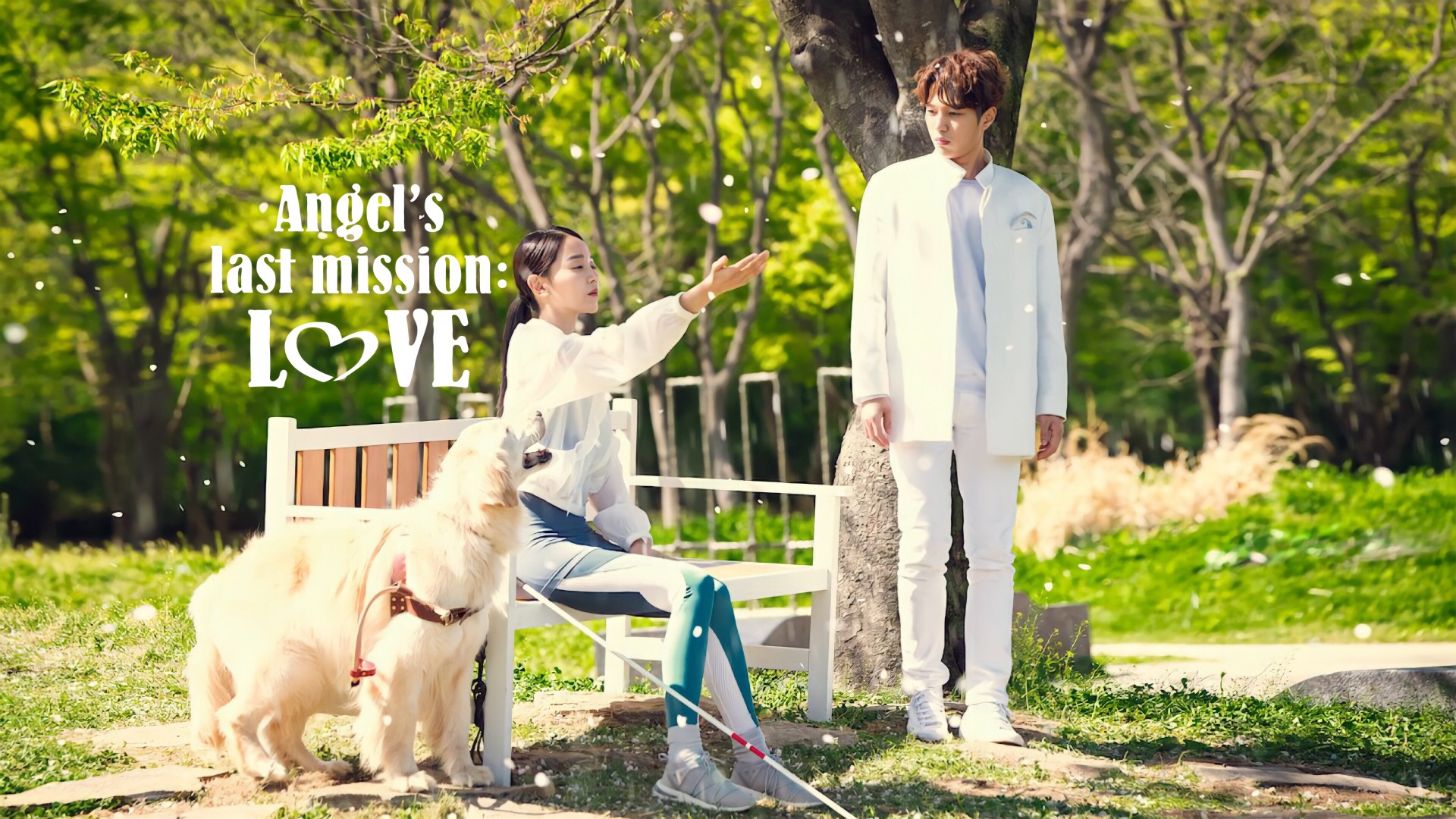 Angel’s Last Mission: Love 1. Sezon 16. Bölüm
