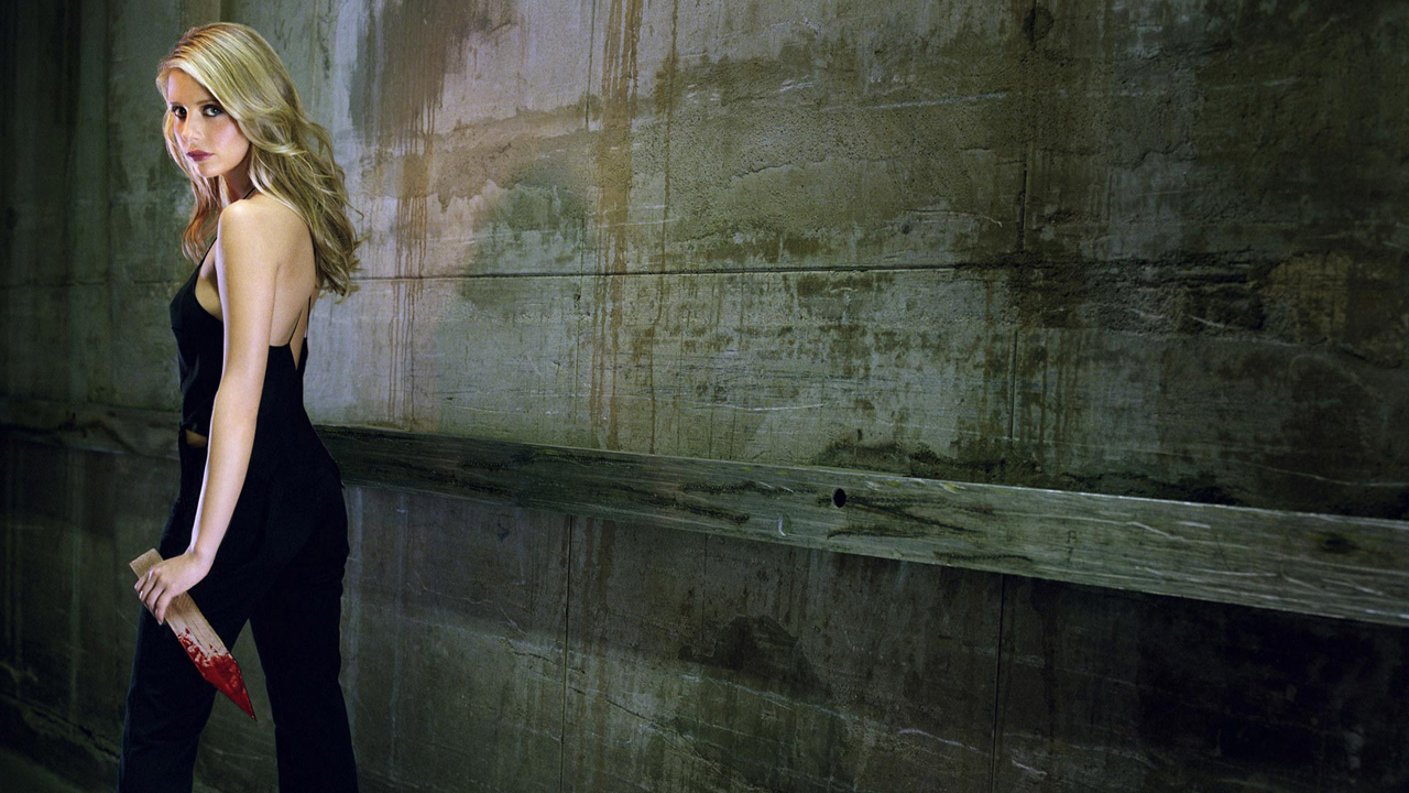 Buffy the Vampire Slayer 6. Sezon 17. Bölüm