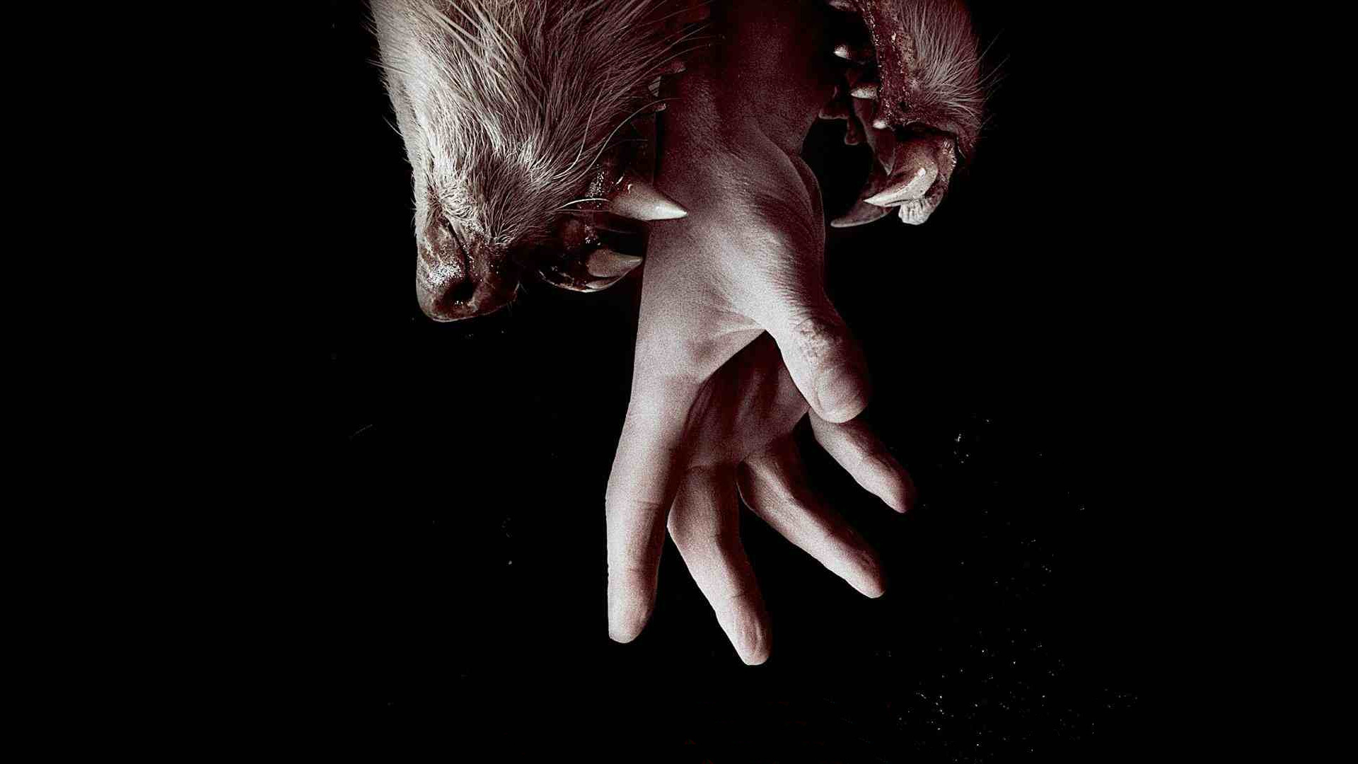 Hemlock Grove 1. Sezon 10. Bölüm