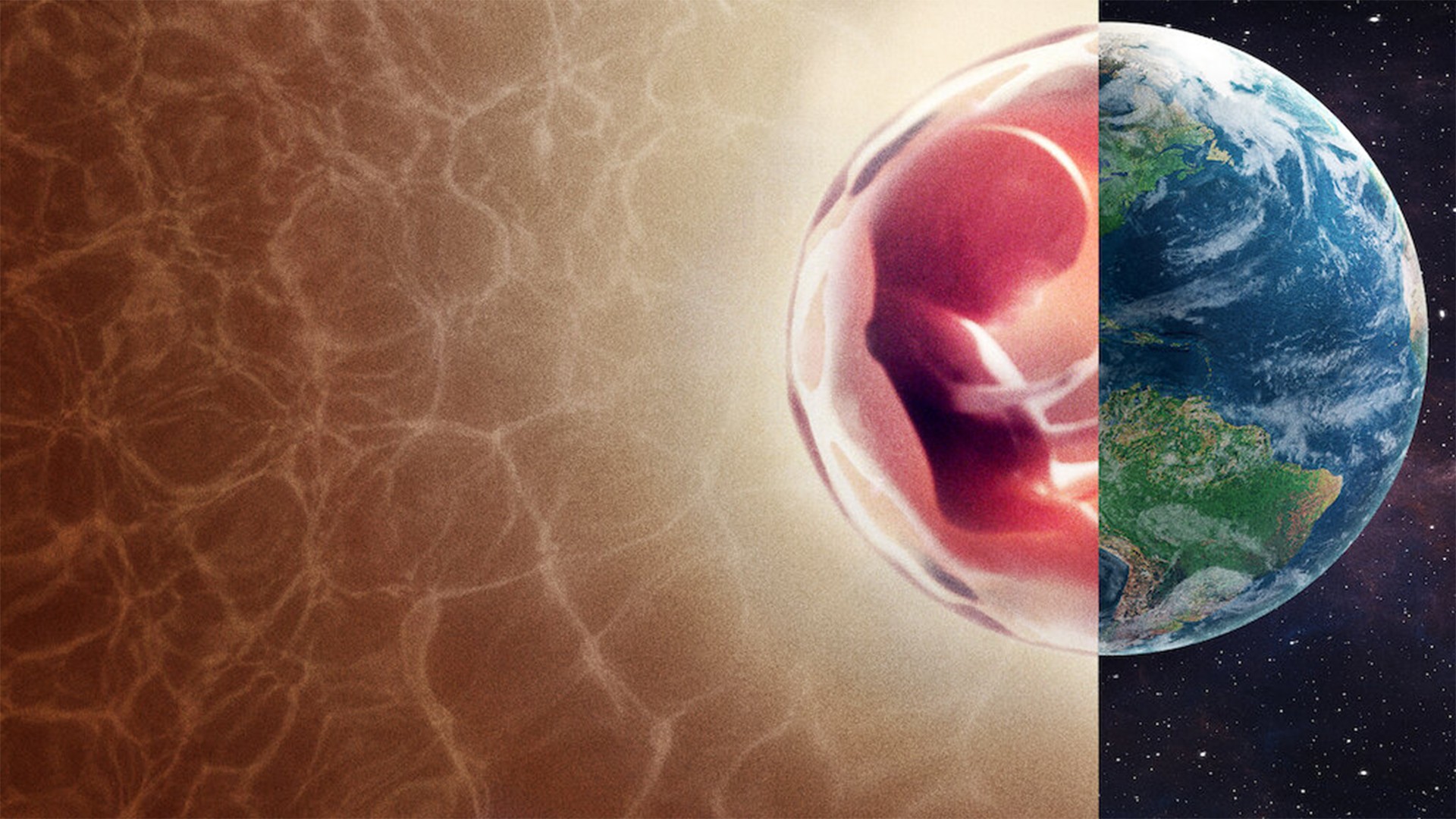 Human: The World Within 1. Sezon 2. Bölüm