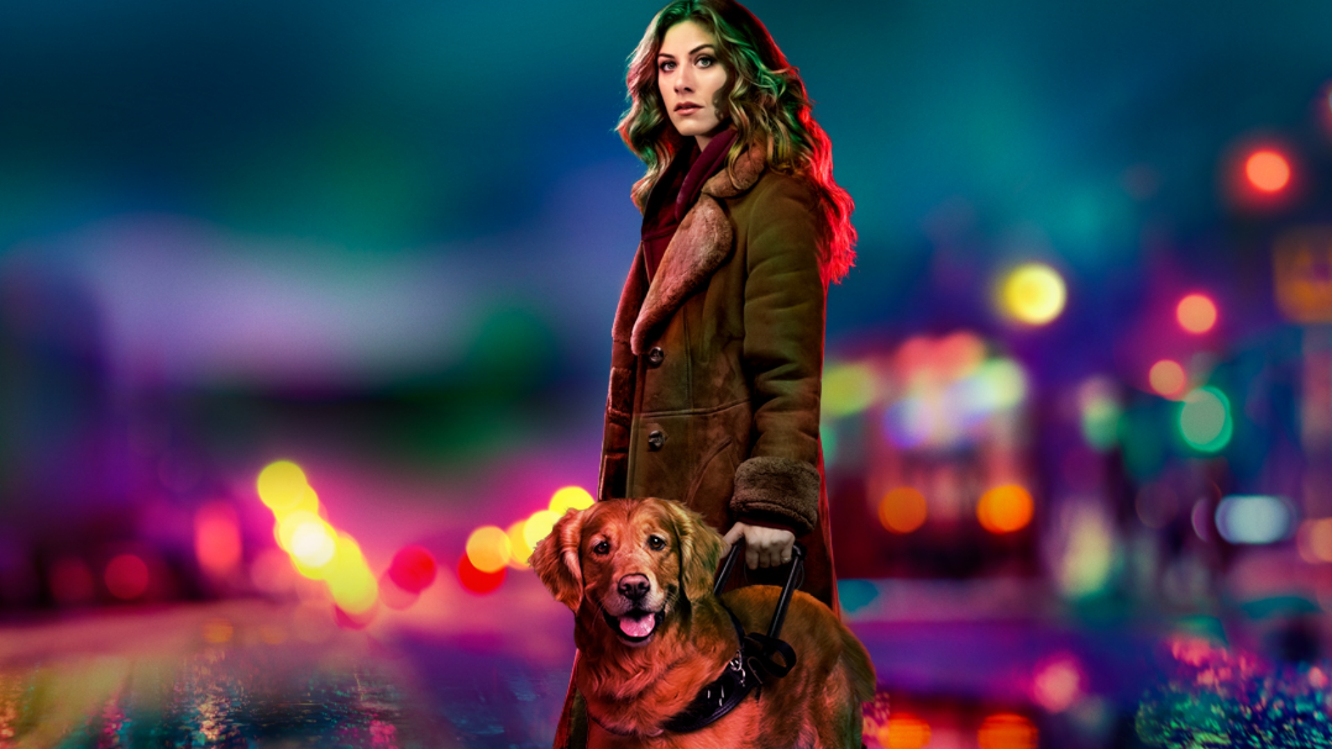 In the Dark 3. Sezon 12. Bölüm