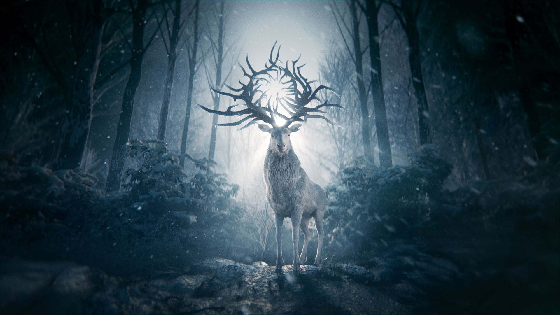 Shadow and Bone 2. Sezon 2. Bölüm