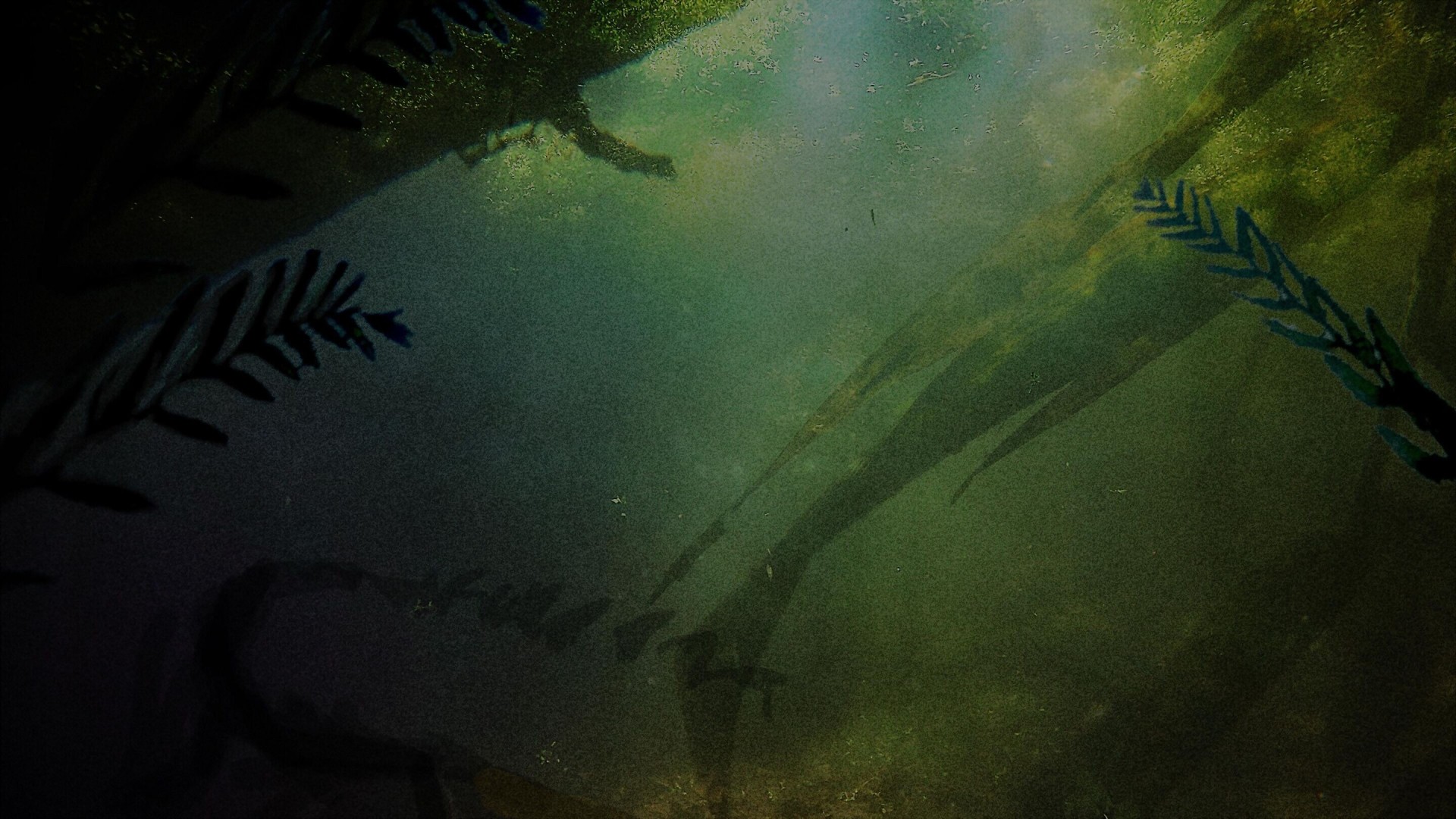 Something Bit Me! 1. Sezon 9. Bölüm