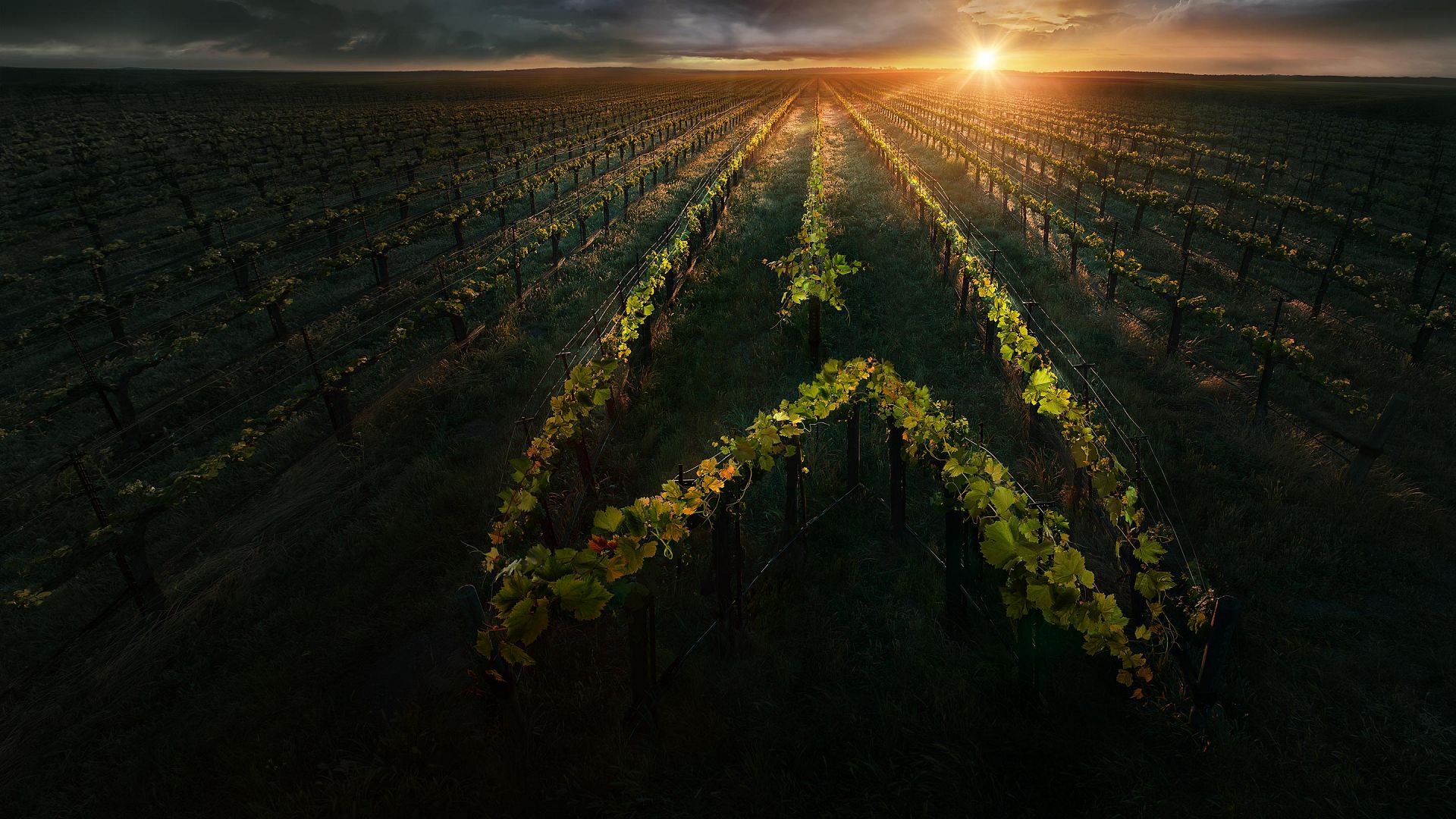 Star Trek: Picard 2. Sezon 8. Bölüm