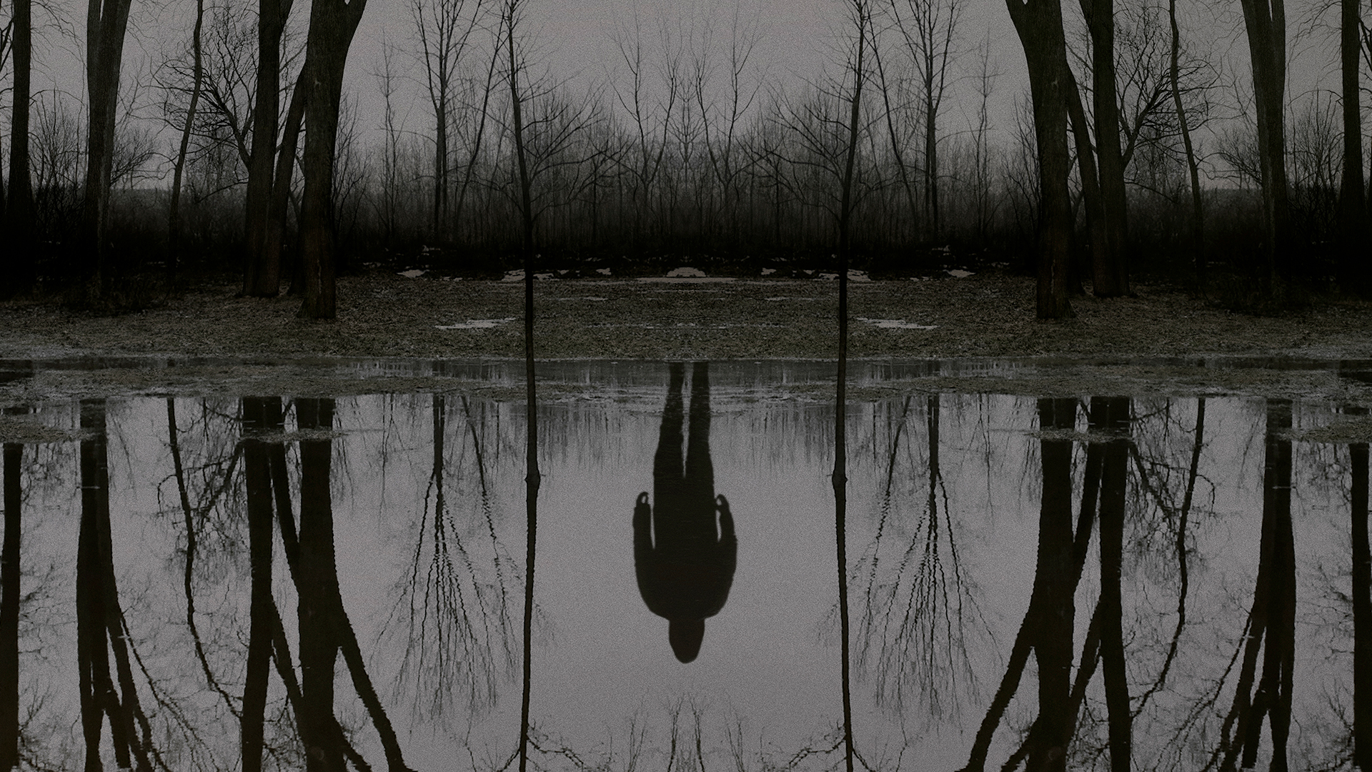 The Outsider 1. Sezon 6. Bölüm