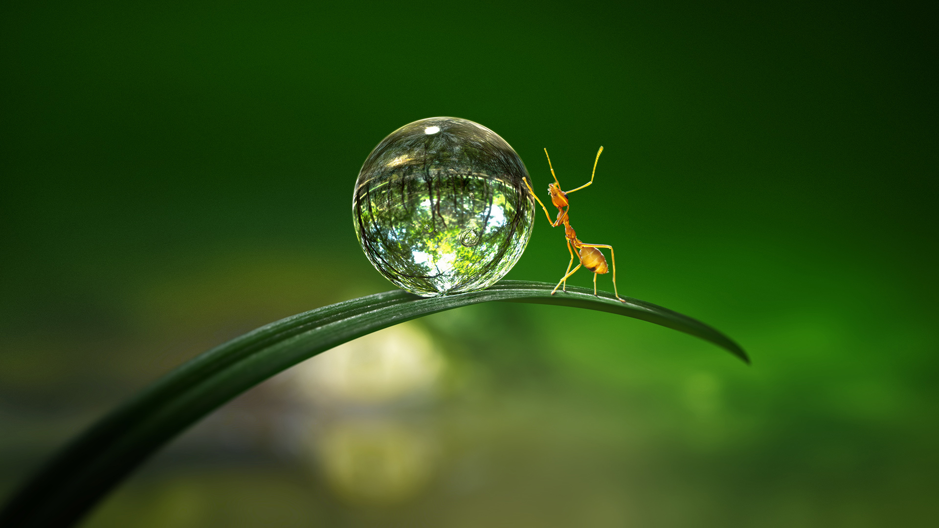 Tiny World 1. Sezon 5. Bölüm