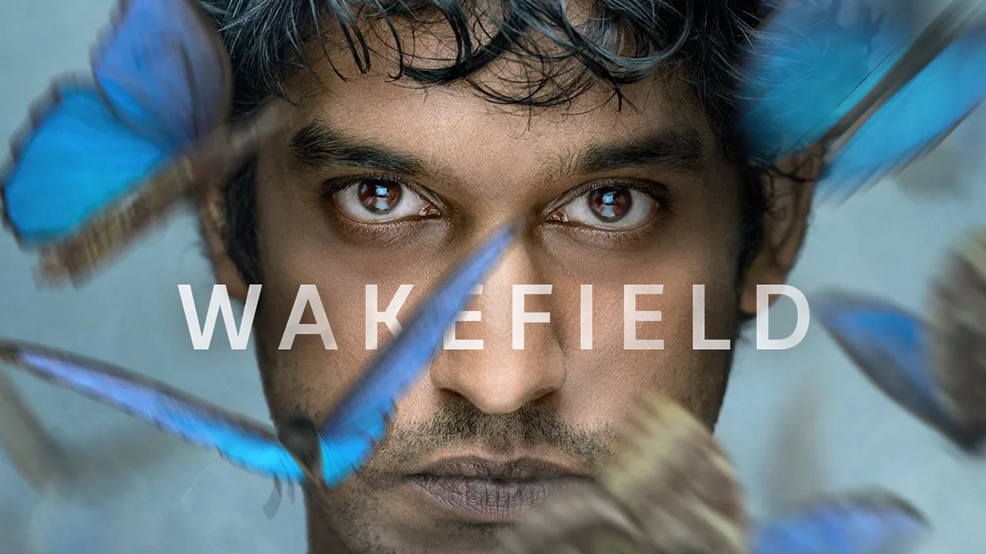 Wakefield 1. Sezon 8. Bölüm