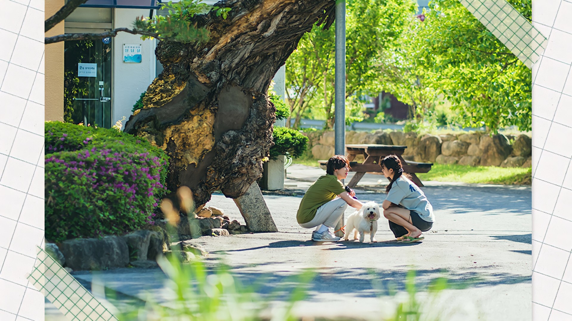 Summer Strike 1. Sezon 2. Bölüm