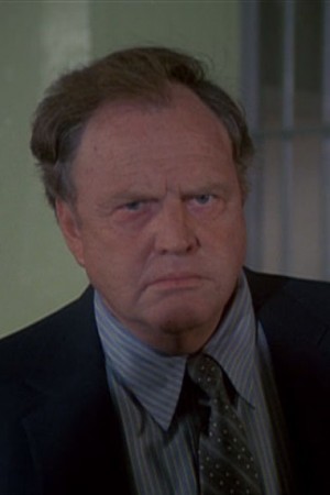 Sandy Ward tüm dizileri dizigom'da