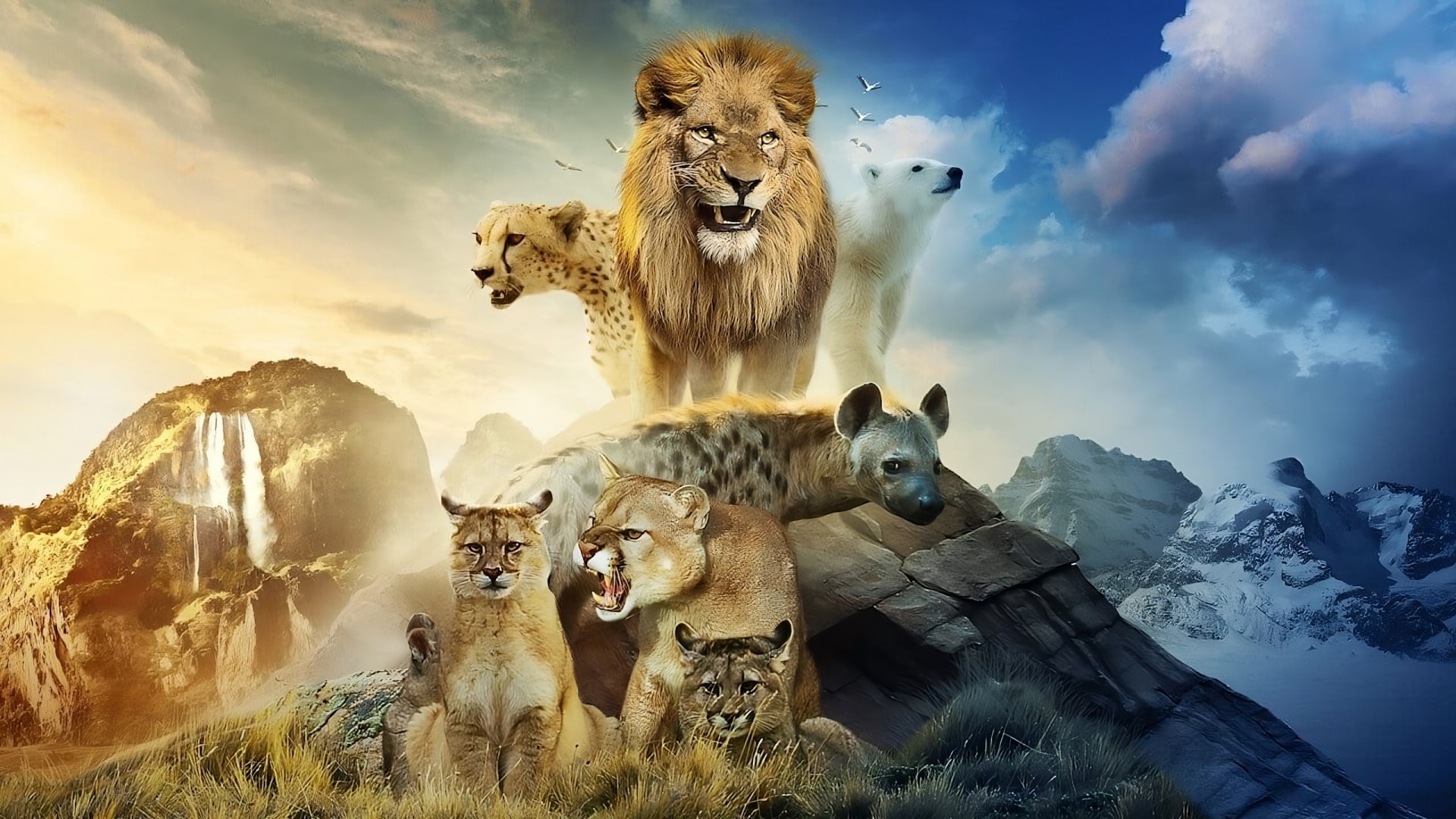 Predators 1. Sezon 5. Bölüm