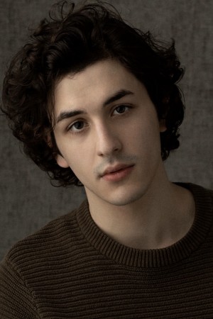 Will Price tüm dizileri dizigom'da