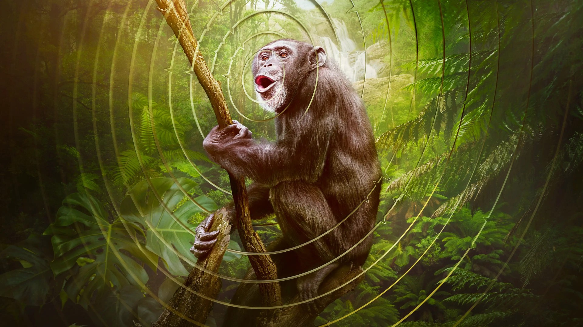 Earthsounds 1. Sezon 6. Bölüm