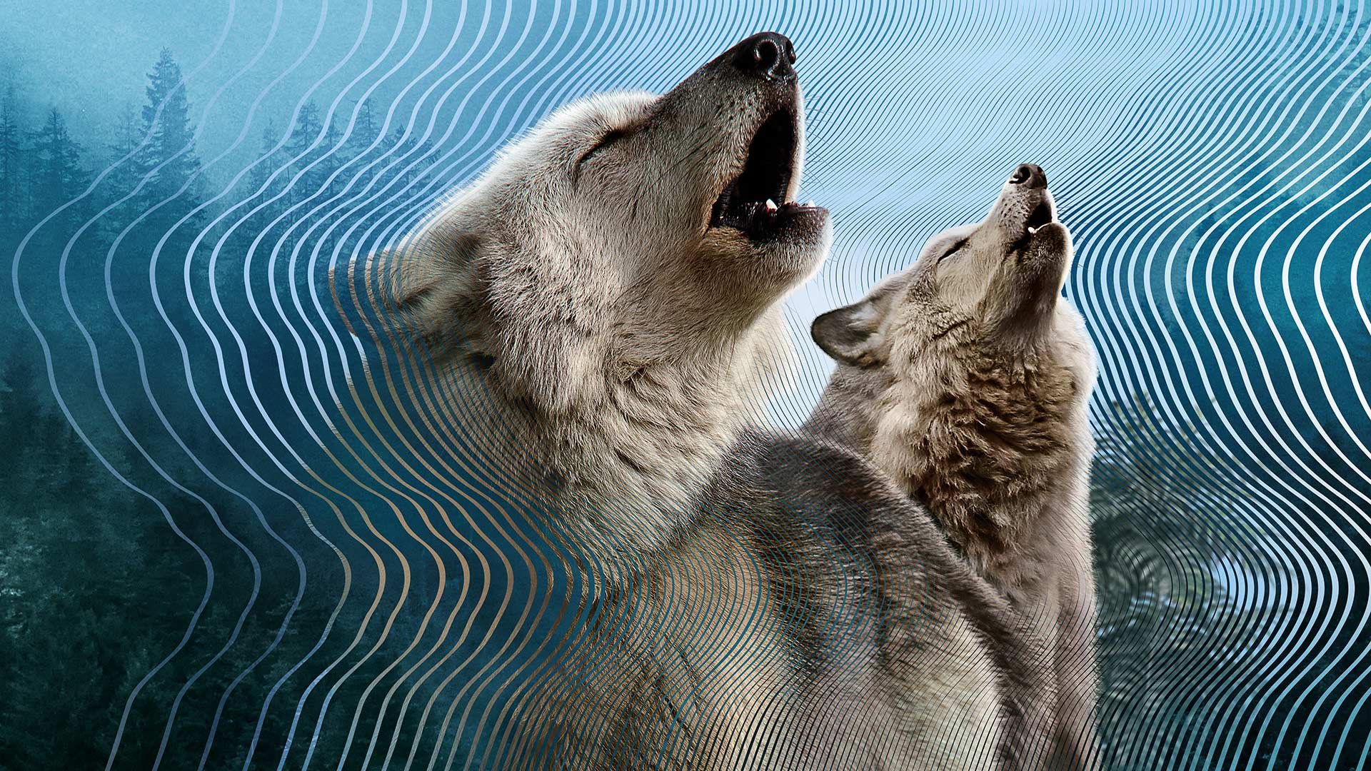 Secret World of Sound 1. Sezon 3. Bölüm